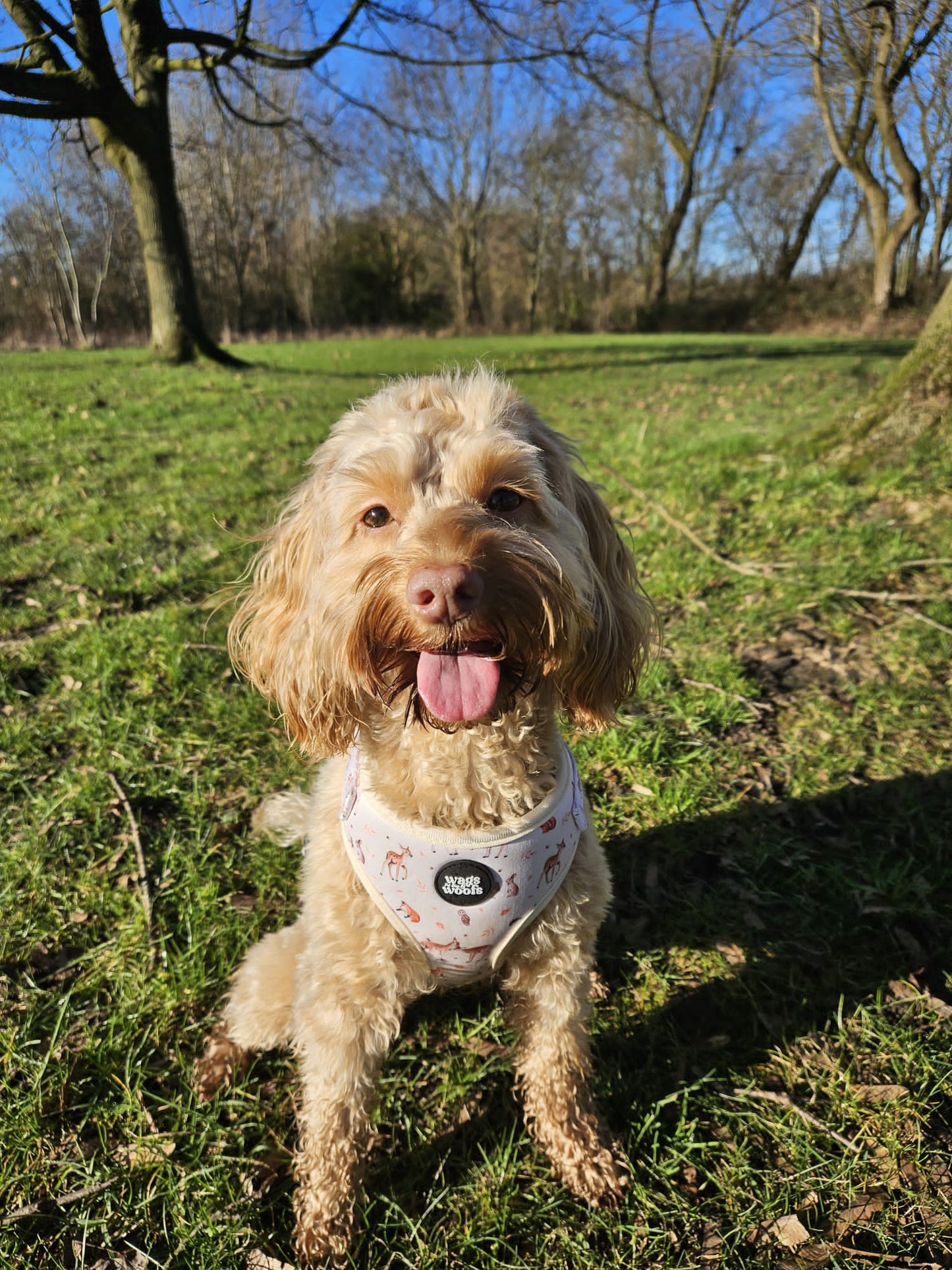 Forrest Friends Harness